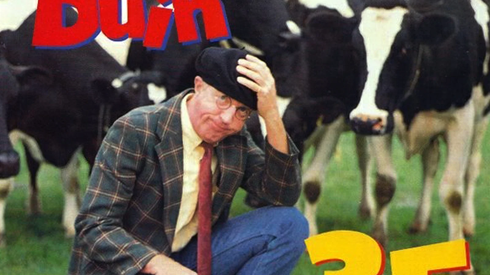 35 Koeien background