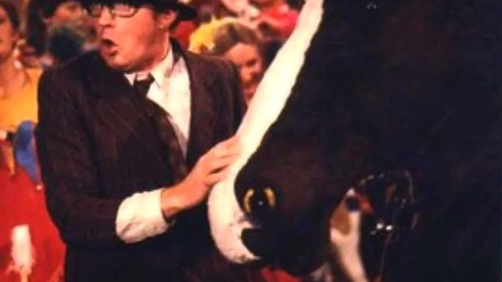 Er Staat Een Paard In De Gang background