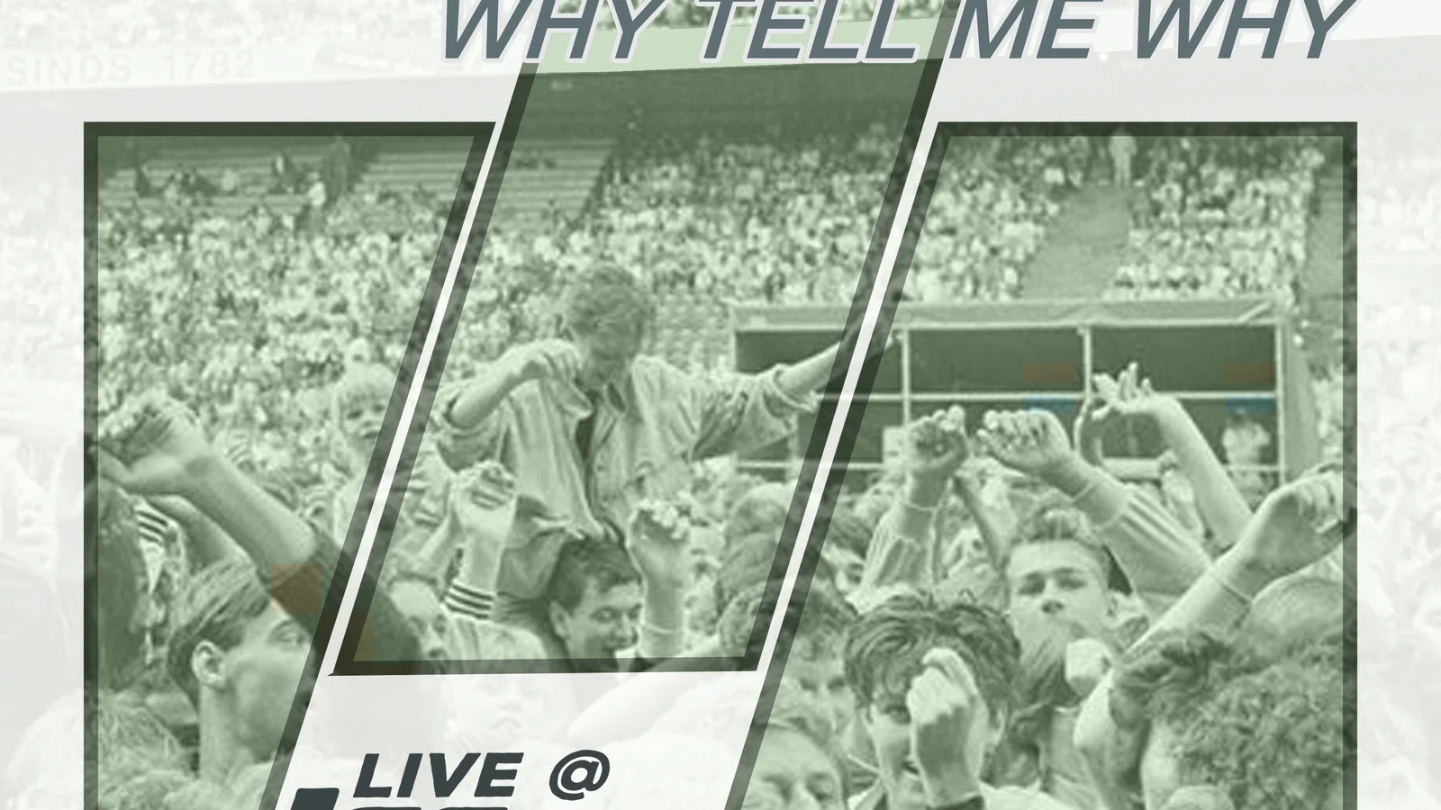 Why Tell Me Why (Live at Los Vast) - Live background