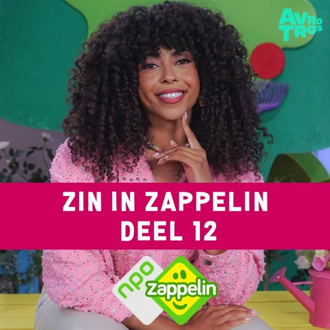 Zin In Zappelin Deel 12