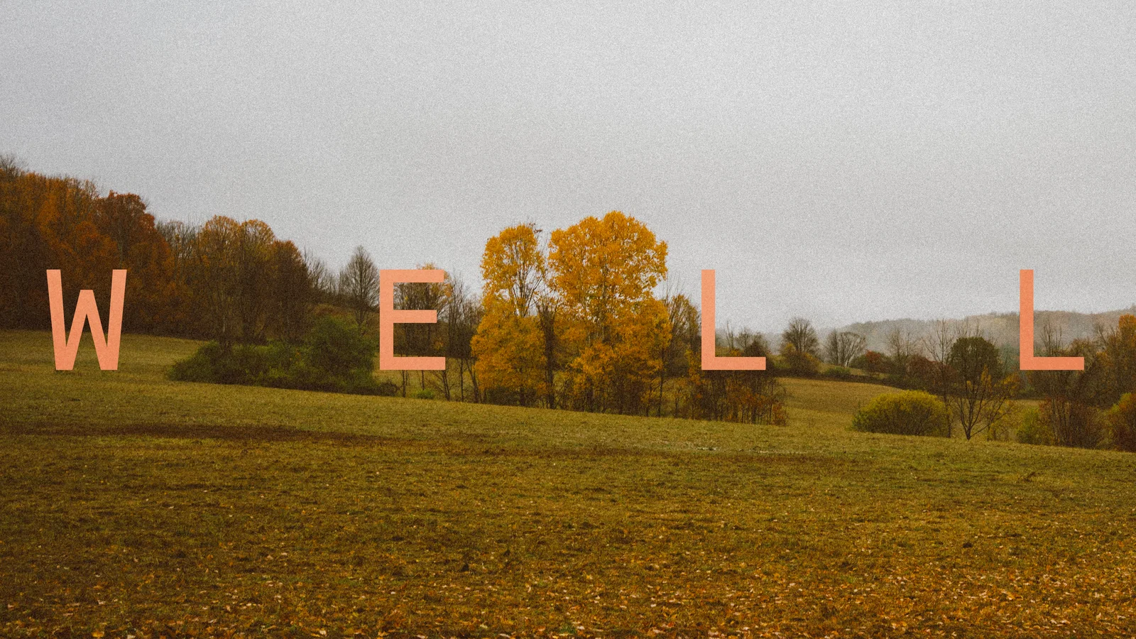 Well background