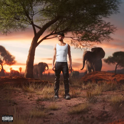 Safari