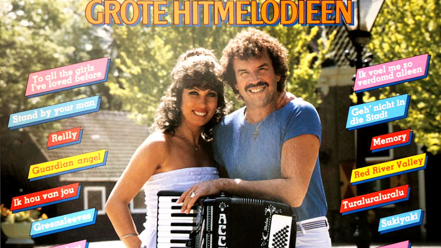 14 Grote Hitmelodieën background