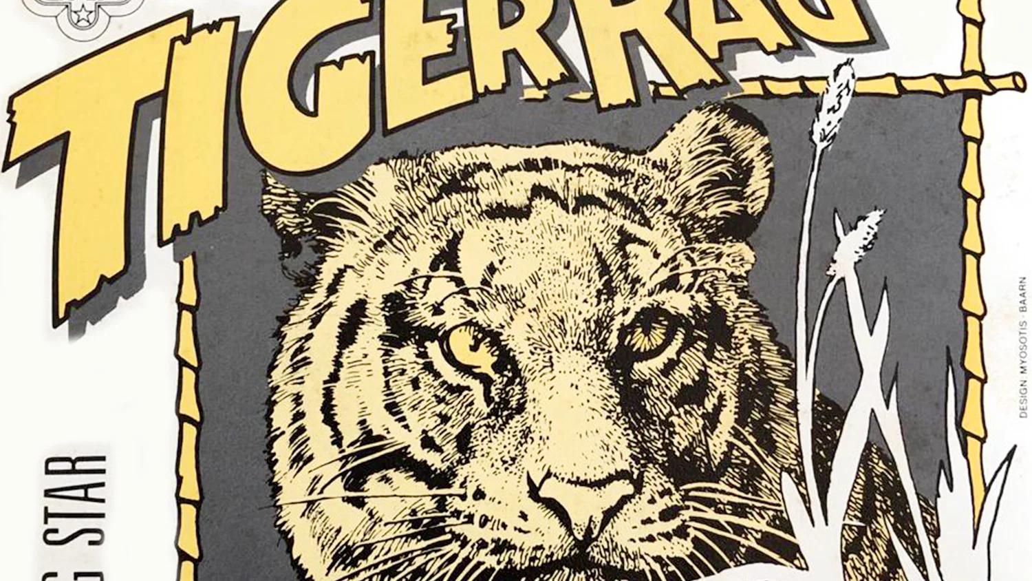 Tiger Rag background
