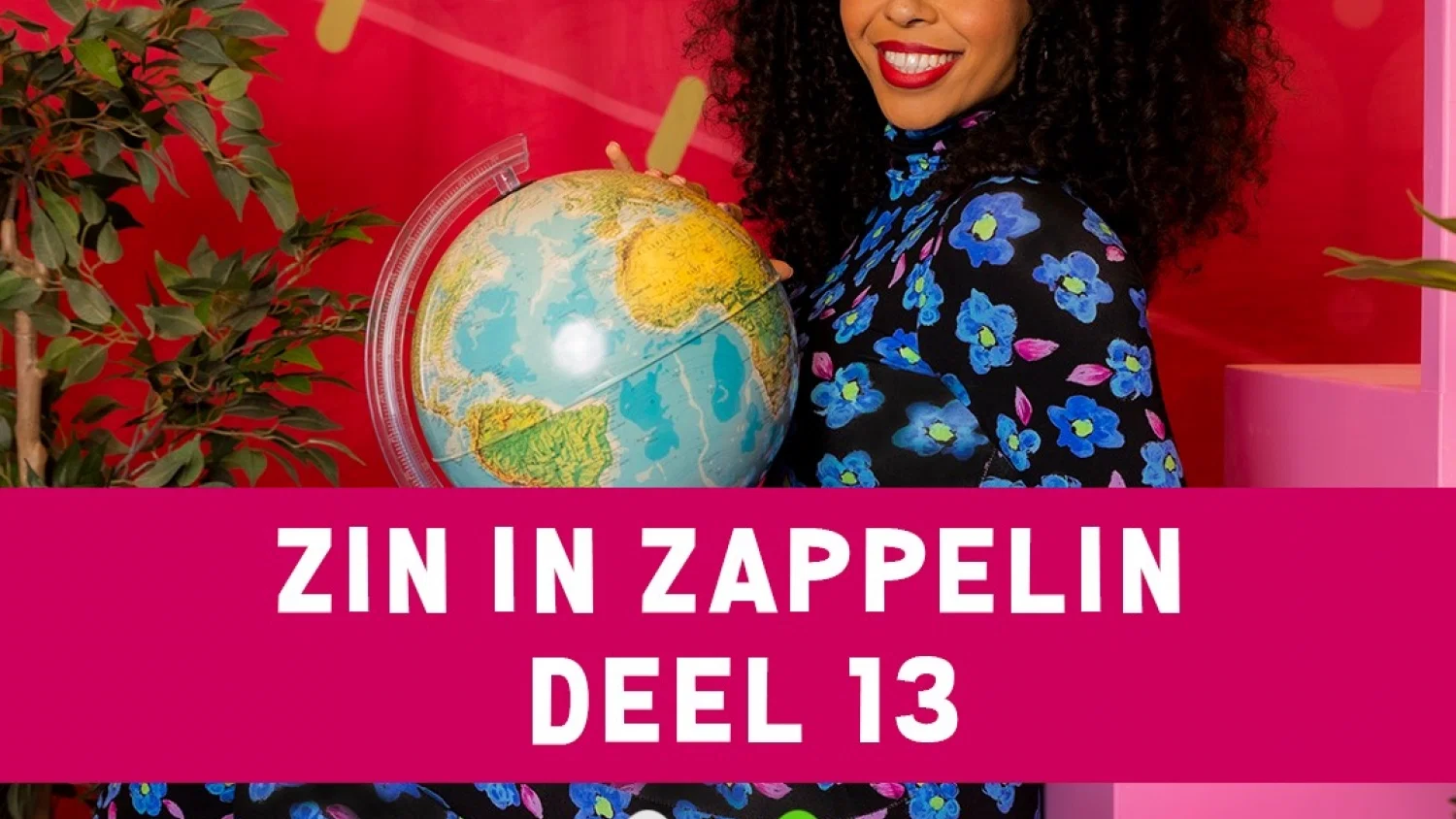 Zin in Zappelin Deel 13 background