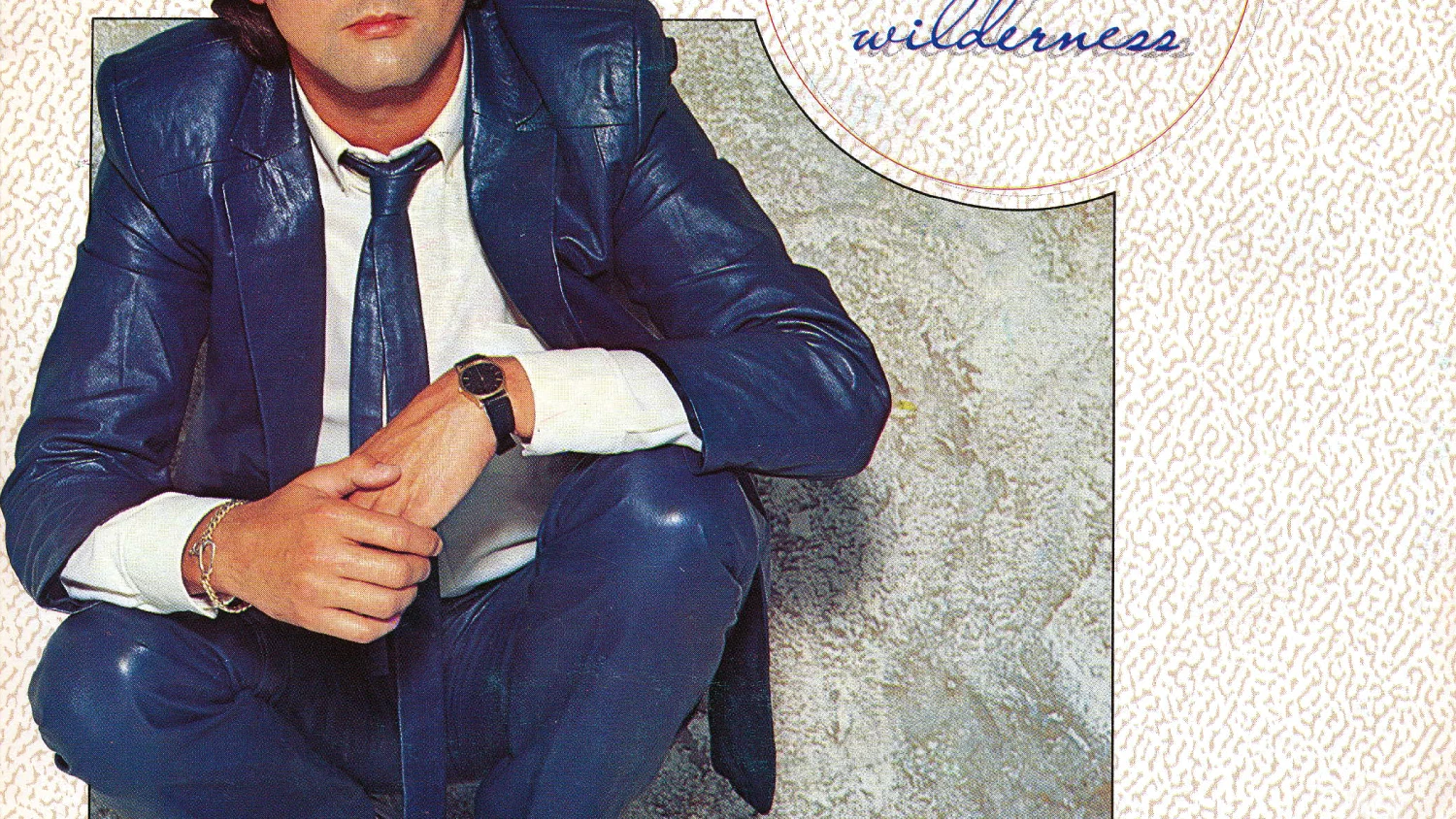 A Voice In The Wilderness background