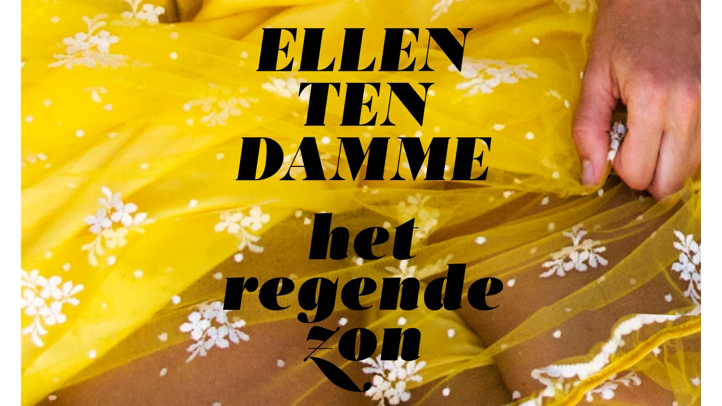 Het Regende Zon background