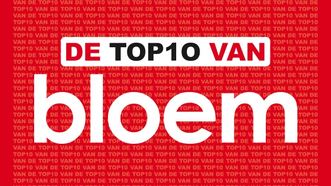 De Top 10 Van background