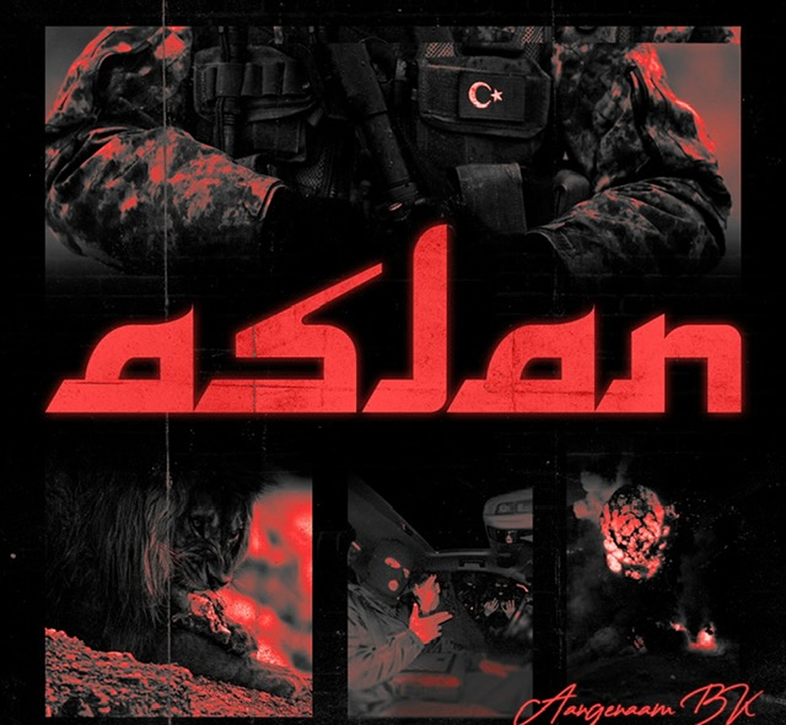 Aslan