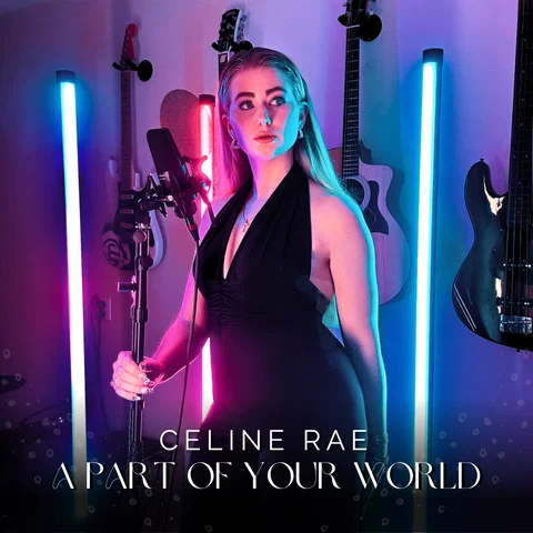 Part Of Your World - Cover