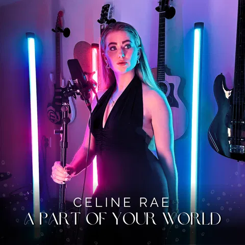 Part Of Your World - Cover