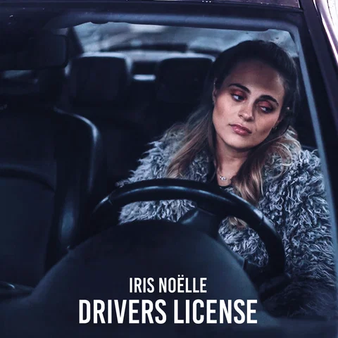 Drivers License