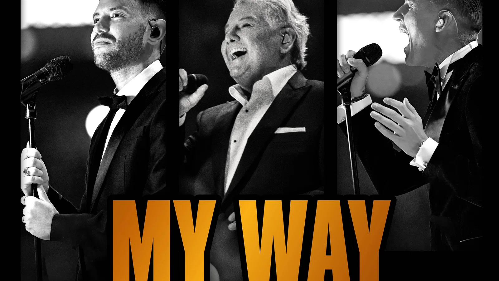 My Way - Live in de Arena Toppers In Concert 2022 background