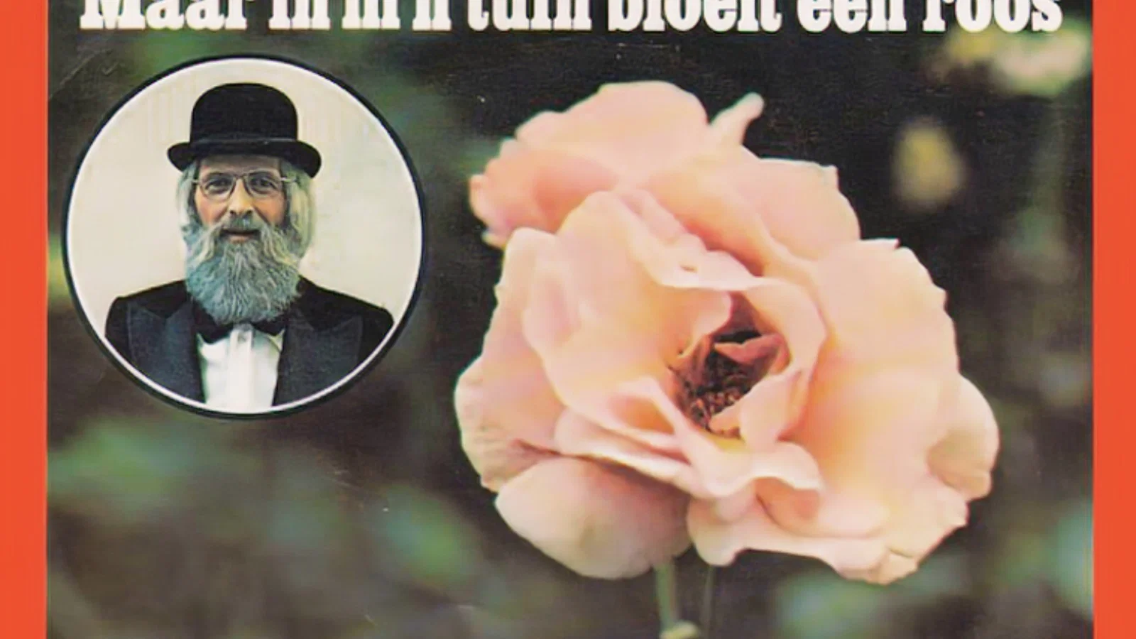 Maar In M'n Tuin Daar Bloeit Een Roos / Die Ene Herinnering background