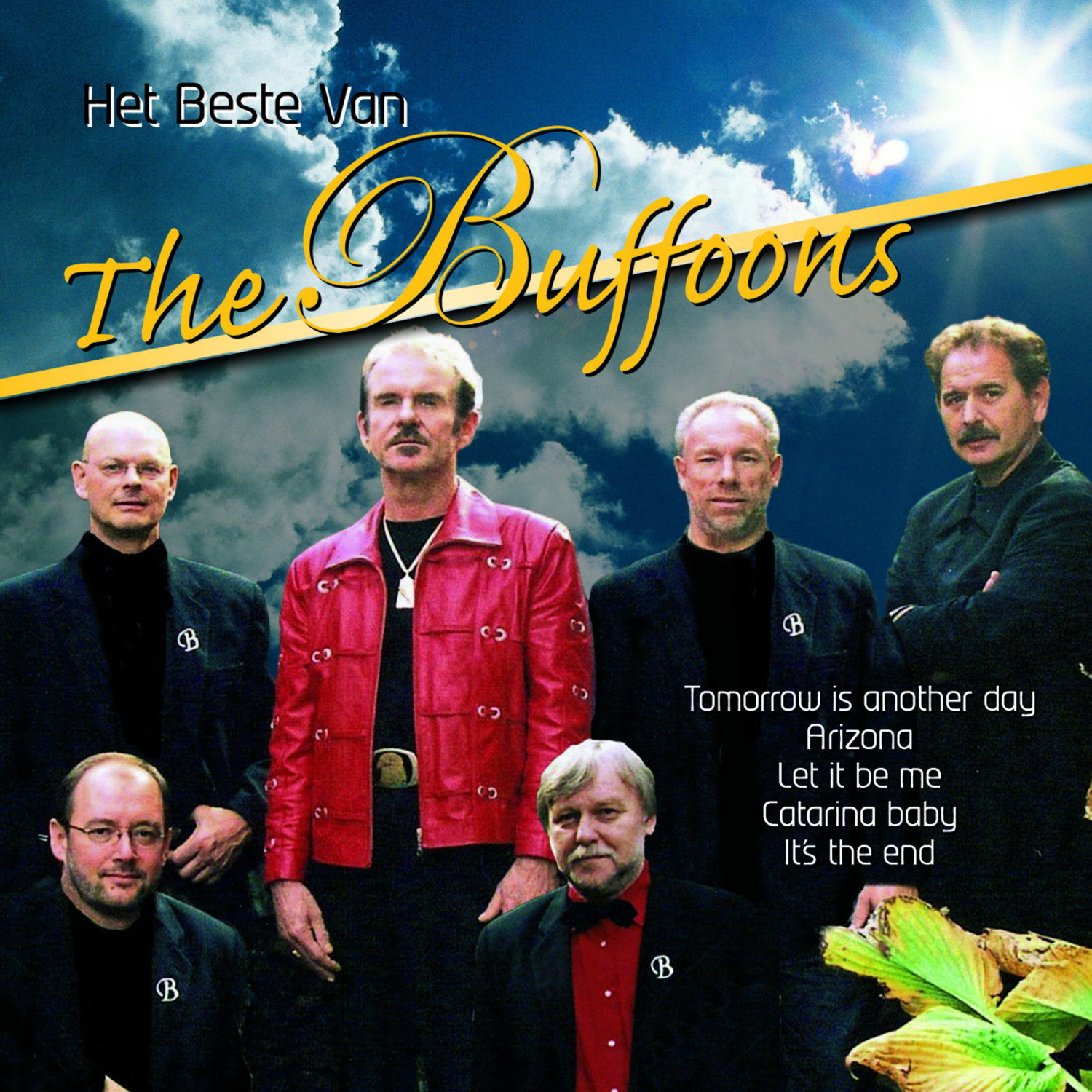Het Beste van The Buffoons