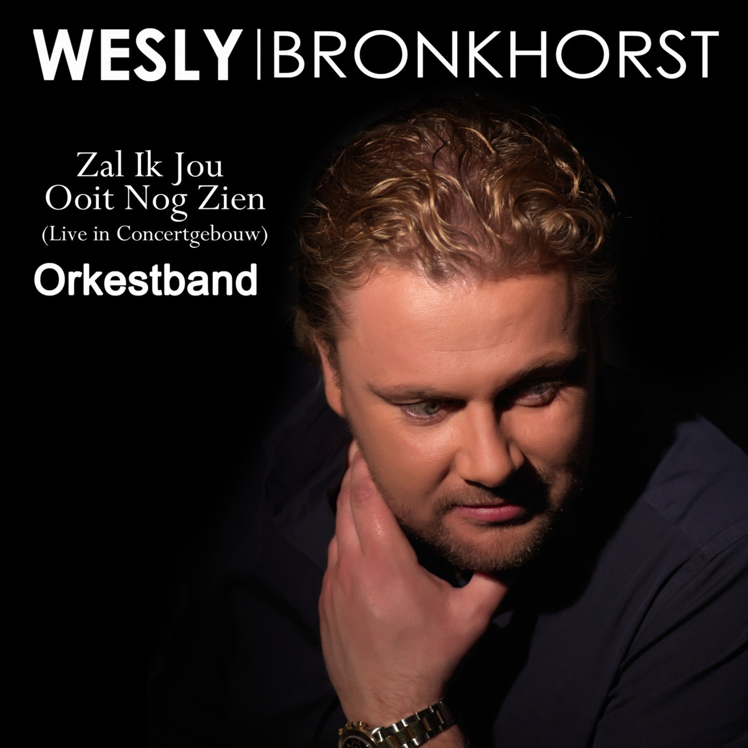 Zal Ik Jou OOit Nog Zien (Live In Concertgebouw) [Orkestband]