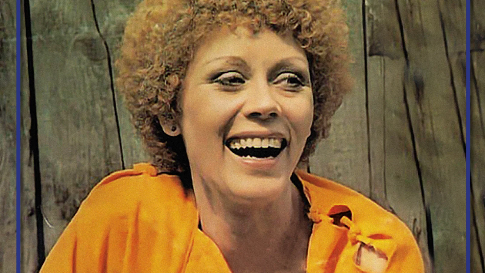 Het Allerbeste Van Conny Vandenbos background