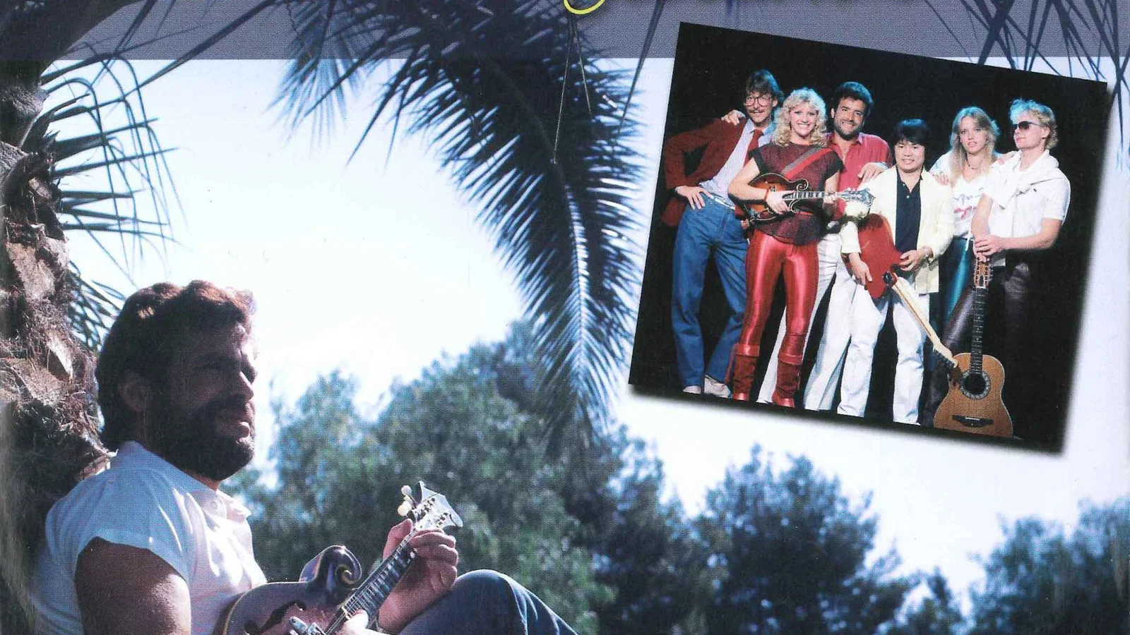 Alle Dromen background