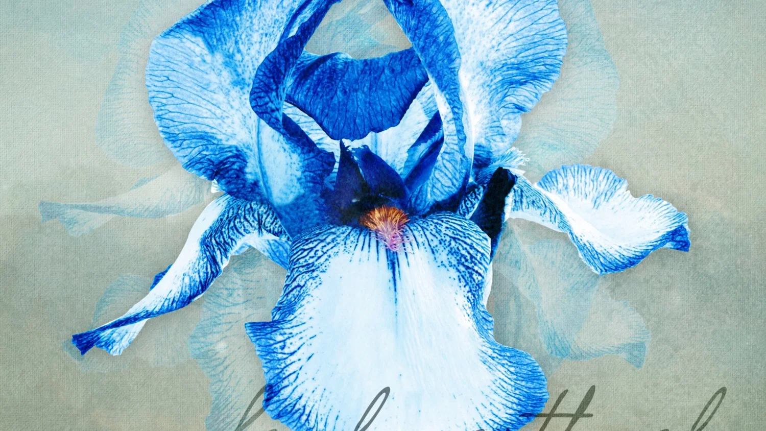 Blauwe Ogen background