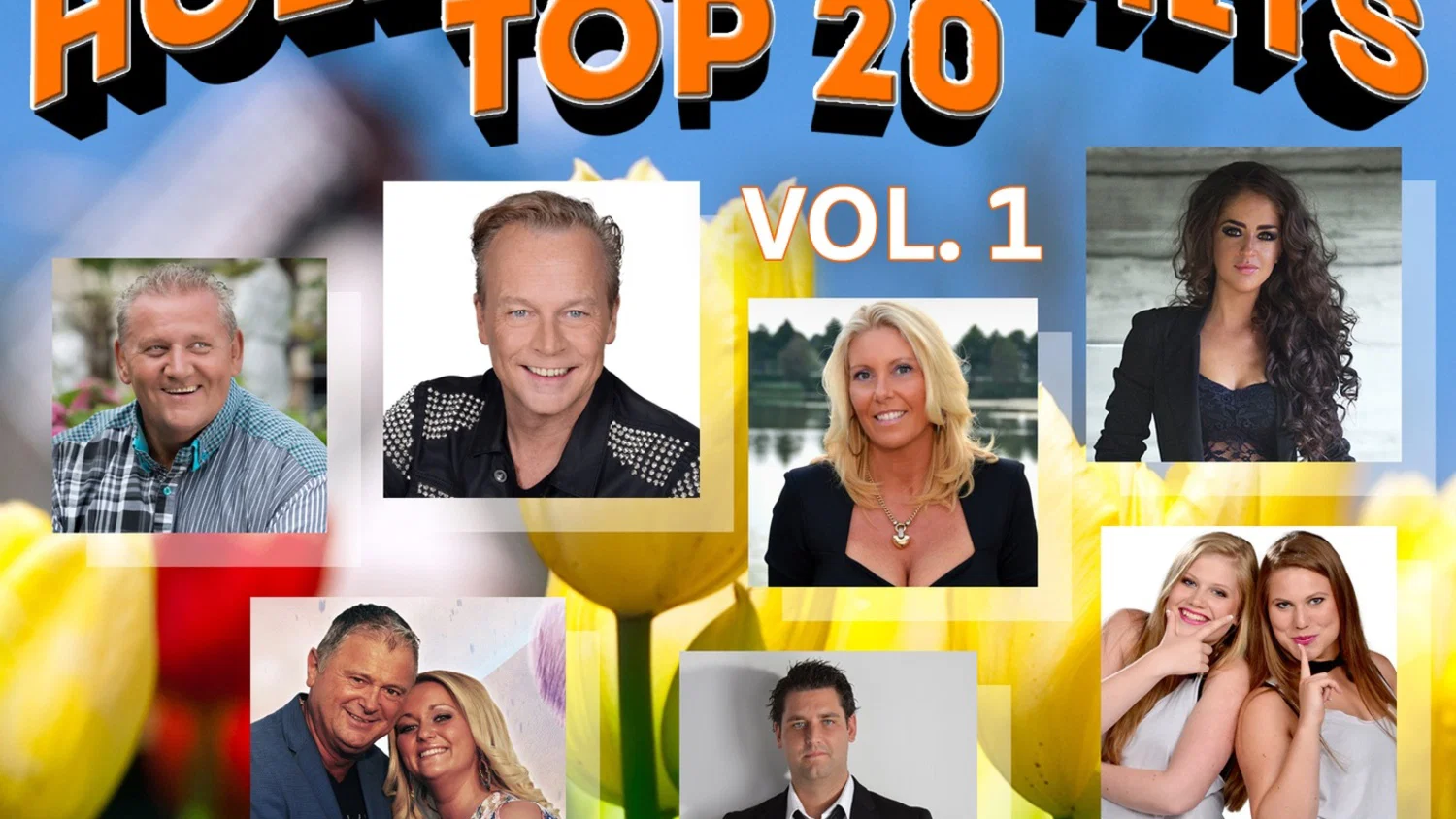 De Hollandse Hits Top 20 vol. 1 background