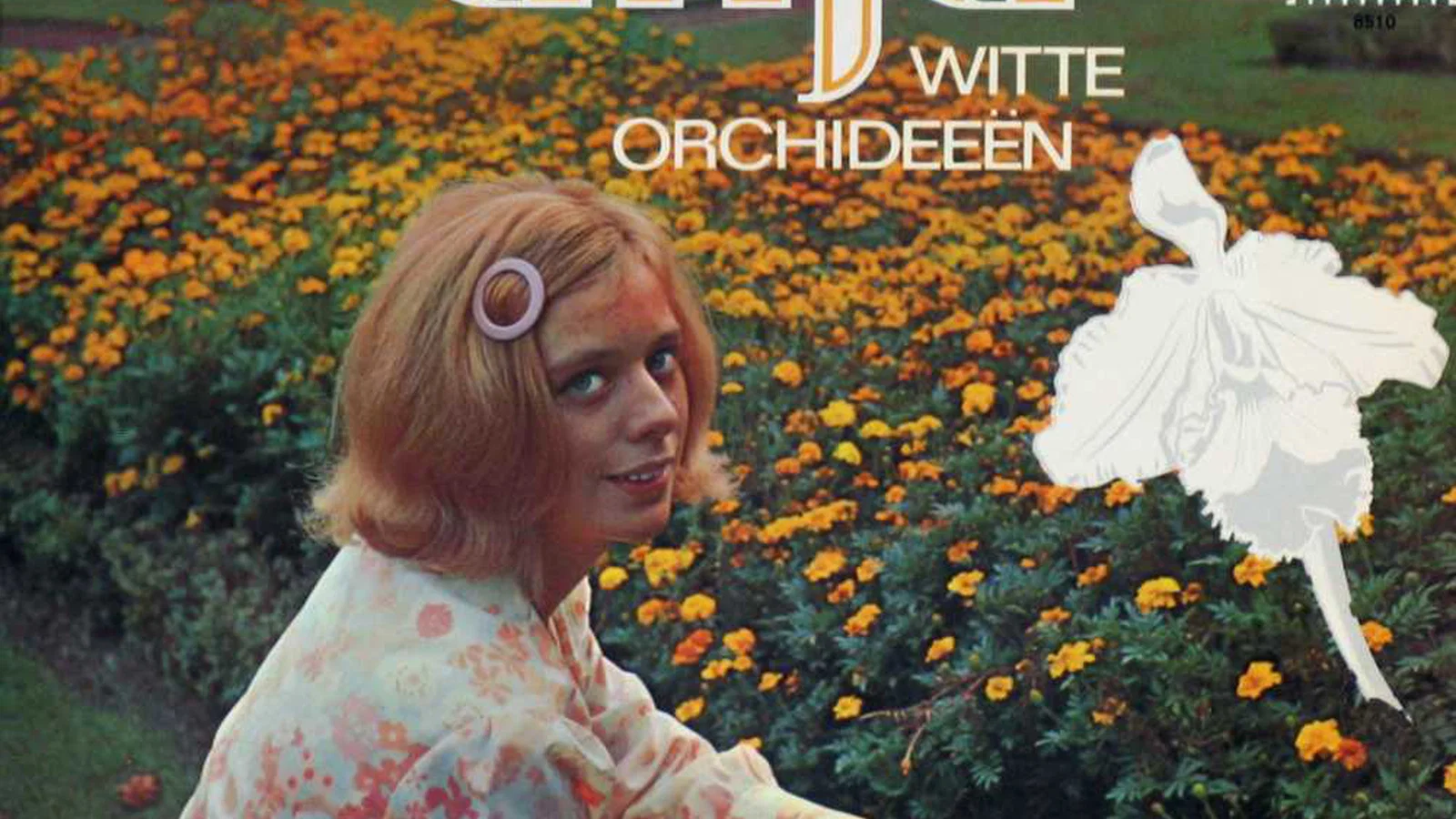 Witte Orchideeën background