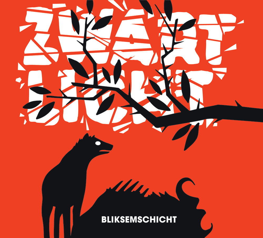 Bliksemschicht