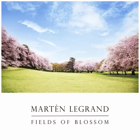 Fields Of Blossom