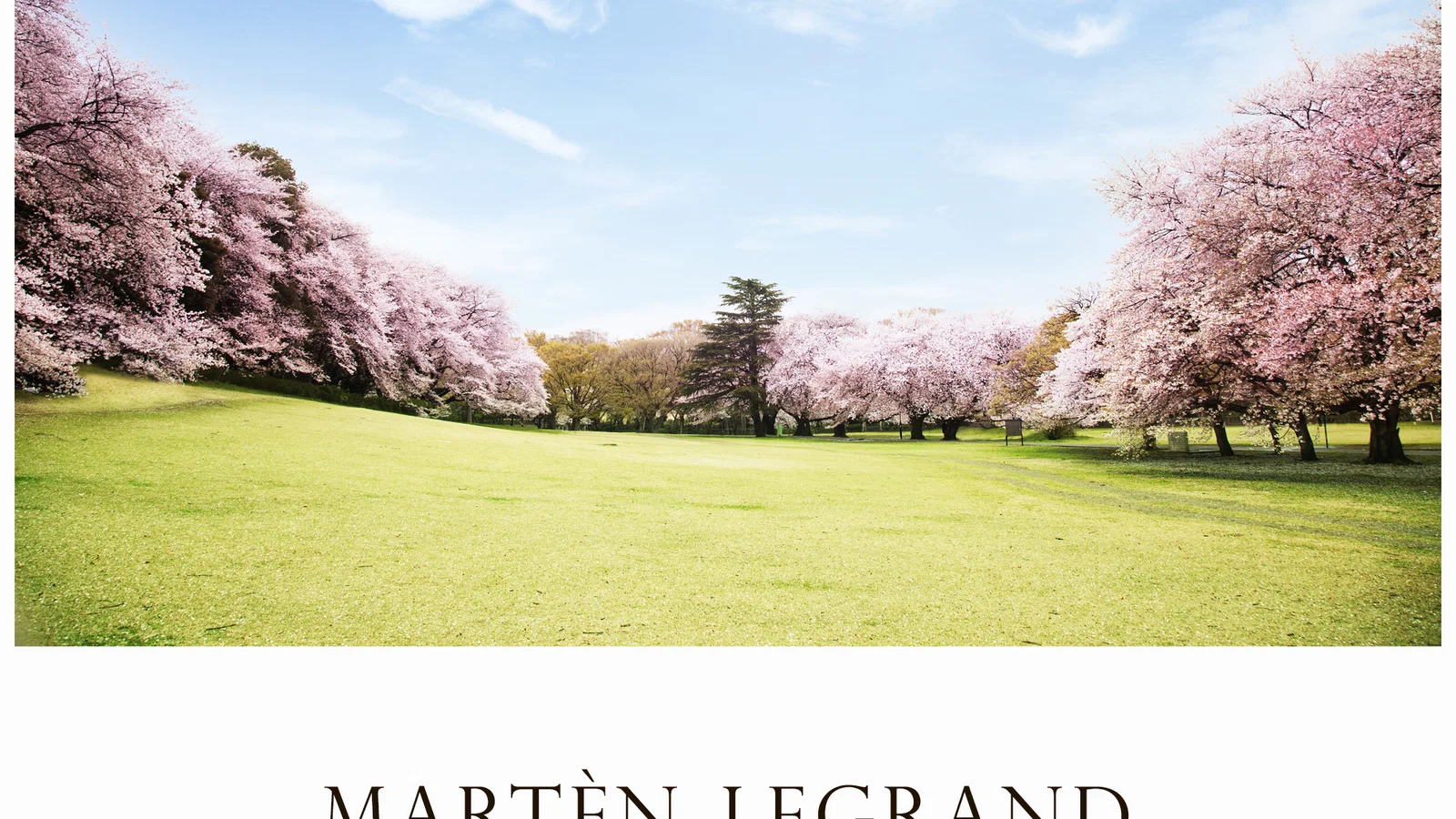 Fields Of Blossom background
