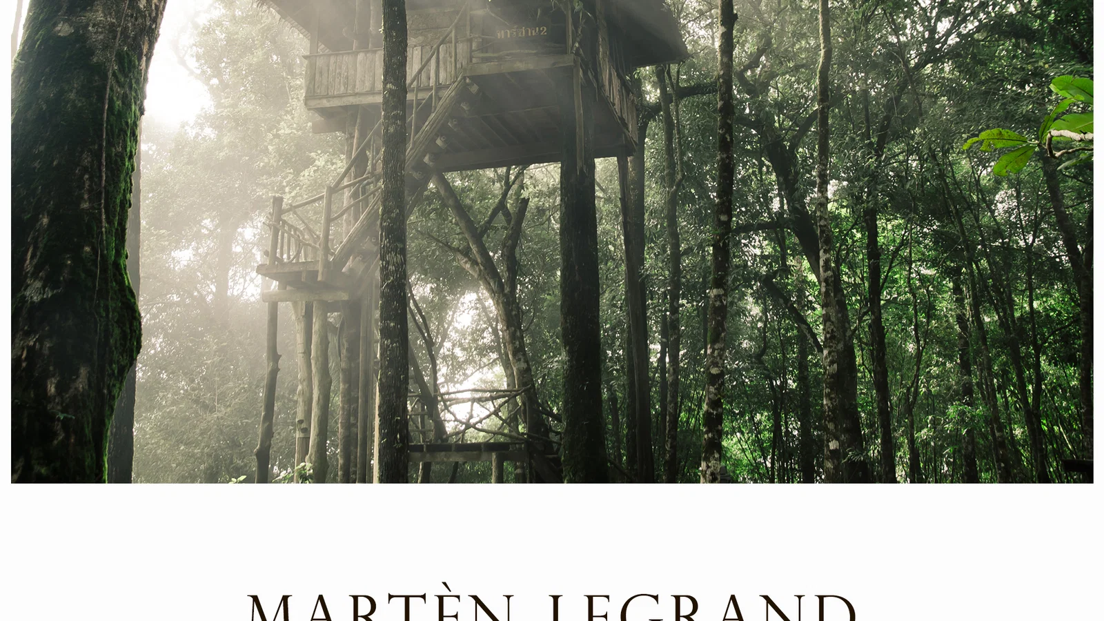 Treehouse background
