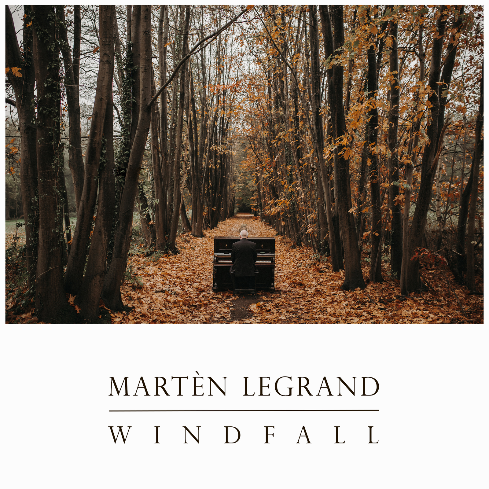 Windfall