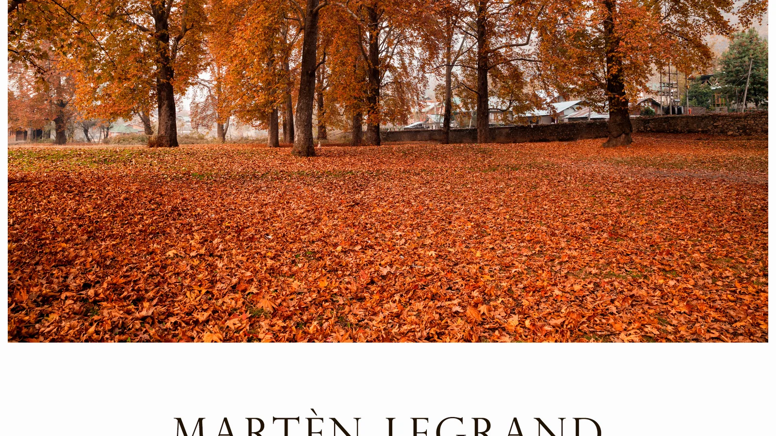 Fields Of Fallen Leaves background