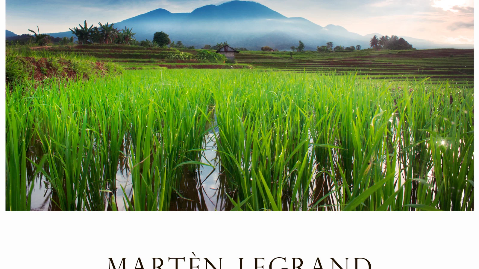 Fields After Rain background
