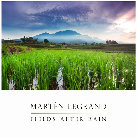 Fields After Rain