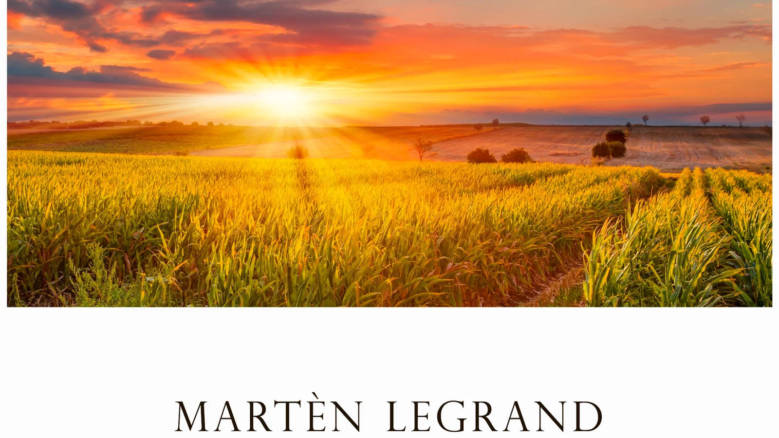 The Fields background