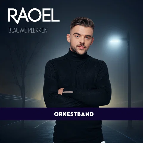 Blauwe Plekken - Orkestband