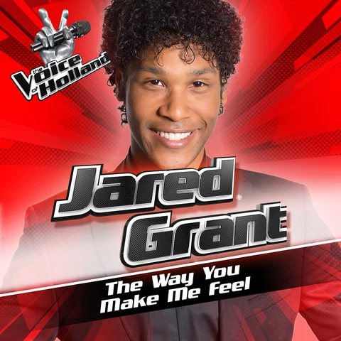 The Way You Make Me Feel - From The Voice Of Holland 6
