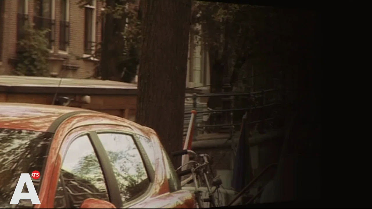 Aflevering 1 - Manke Nelis background