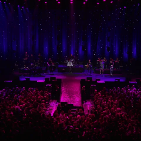 Amsterdam (Yves In De AFAS Live)