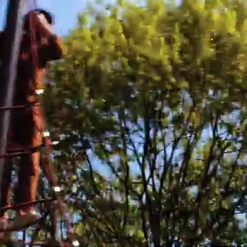 De Woonwijk