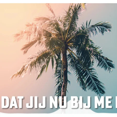 Ik Wil Dat Jij Nu Bij Me Blijft (Zomerversie)