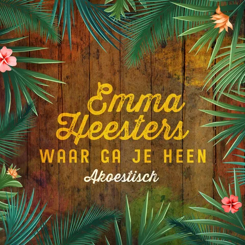 Waar Ga Je Heen - Akoestisch