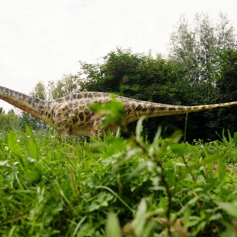 De Dino's Zijn Terug