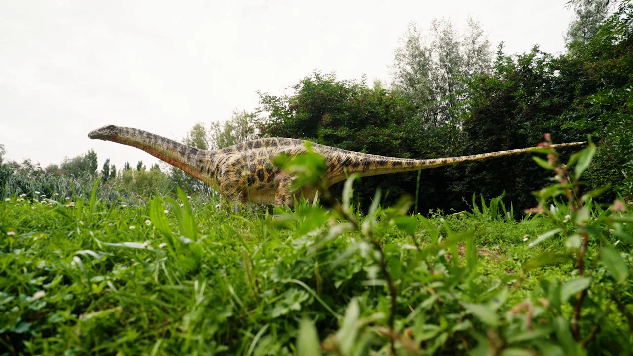 De Dino's Zijn Terug background