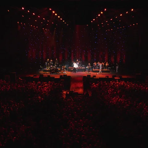 Viva La Vida  (Yves In De AFAS Live)