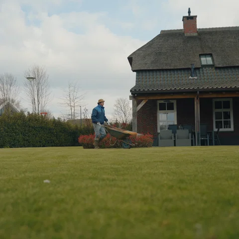 Wim De Blauwe Pelikaan