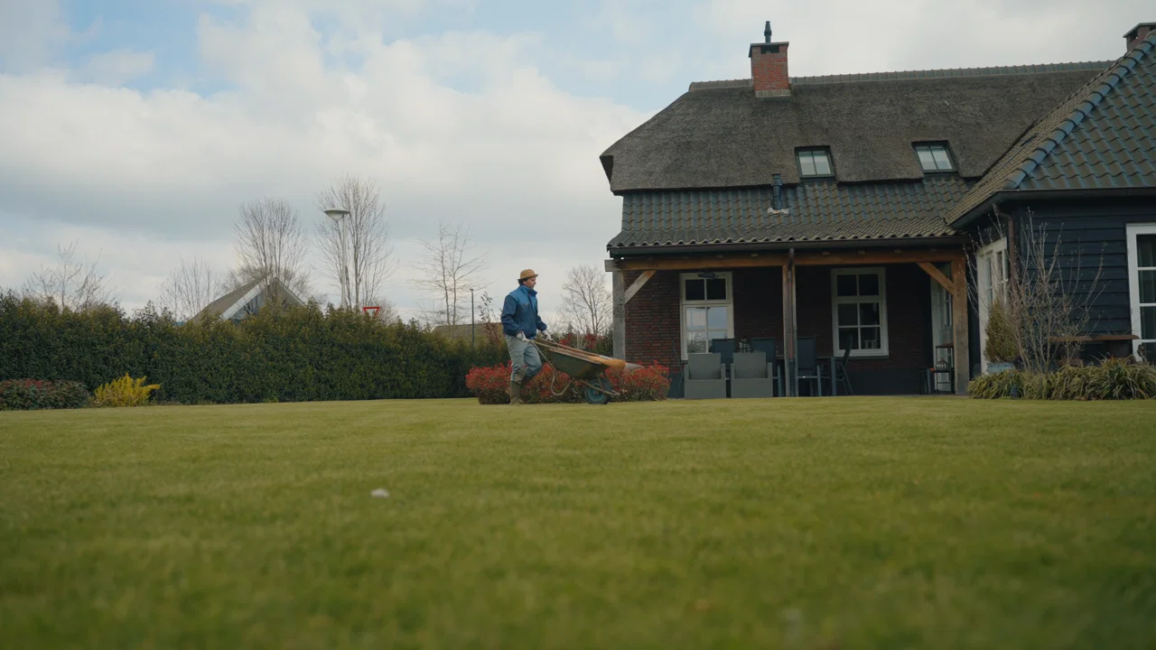 Wim De Blauwe Pelikaan background