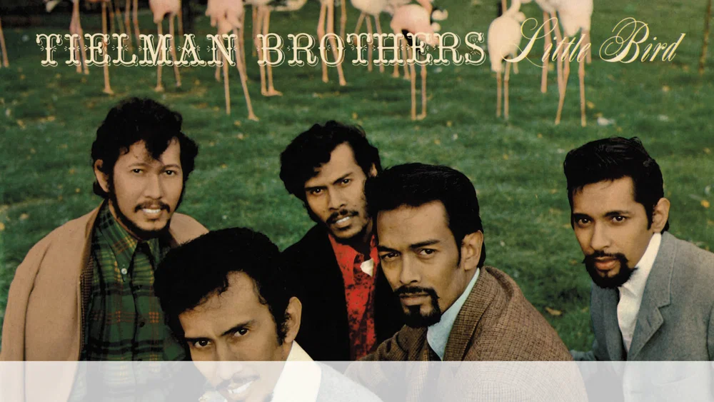 Little Bird - Expanded Edition / Remastered 2025 background