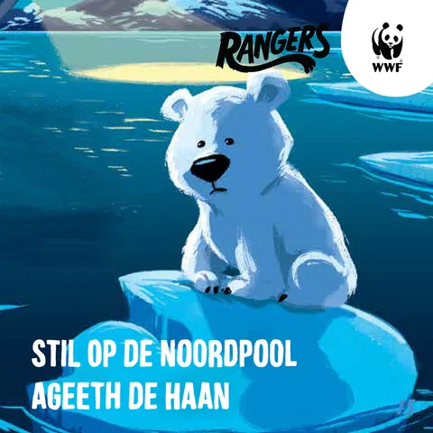 Stil op de Noordpool