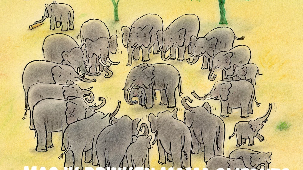 Mag Ik Drinken Mama Olifant? background
