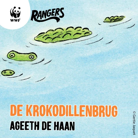 De Krokodillenbrug